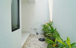 akane backyard